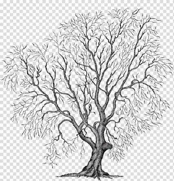 Autumn Winter trees, leafless tree transparent background PNG clipart