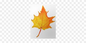 Autumn Yellow Maple Leaf Poster • Pixers® • We Live - Drawing
