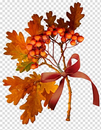 Autumn YouTube Tree Leaf, autumn transparent background PNG clipart