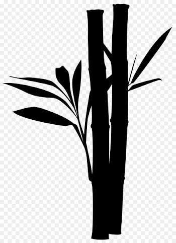 Auvergne Flowering plant Plant stem Plants -  