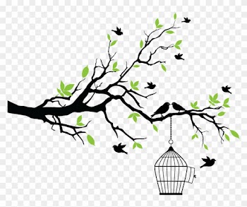 Aves Flores Vintage Dibujos Png - Tree Branch Vector