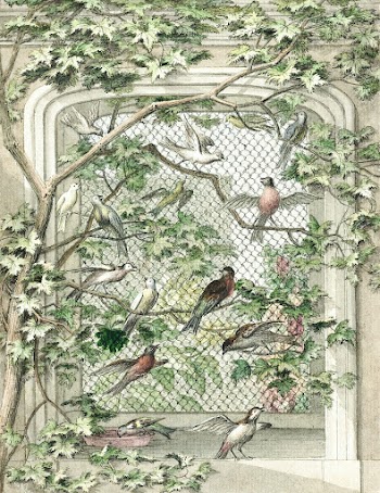 Aviary with fourteen birds (ca.… | Free public domain illustration