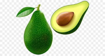 Avocado Clip art - Avocado PNG Vector Clipart Image 