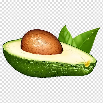 Avocado Euclidean Illustration, avocado fruit transparent background PNG clipart
