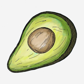 Avocado food hand drawn illustration. | Free Photo - rawpixel
