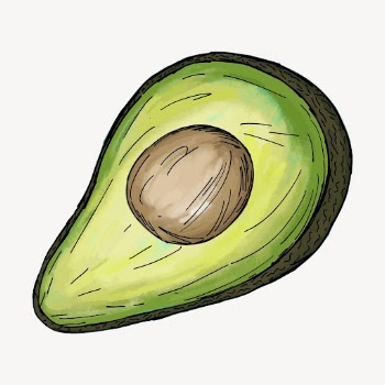 Avocado food hand drawn, illustration | Free Vector - rawpixel