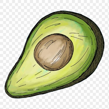 Avocado food png sticker, fruit | Free PNG - rawpixel