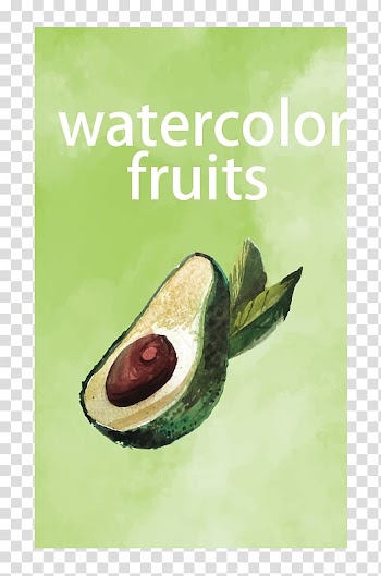 Avocado Fruit, Avocado transparent background PNG clipart
