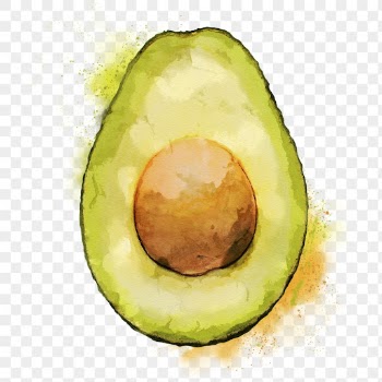Avocado png clipart, fruit drawing | Free PNG - rawpixel