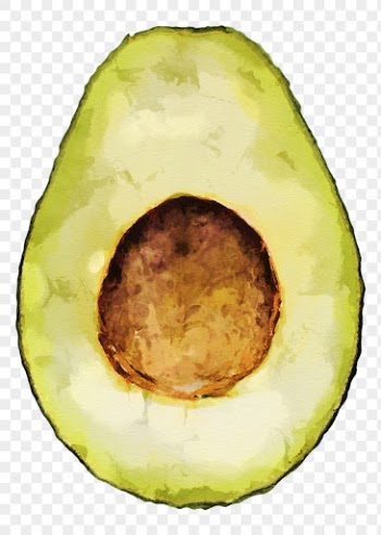 Avocado png clipart, fruit sticker | Free PNG - rawpixel