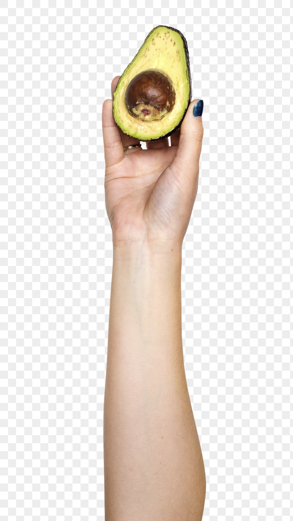 Avocado png in hand sticker | Free PNG - rawpixel