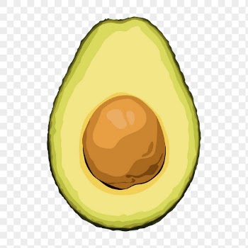 Avocado png sticker, fruit illustration | Free PNG - rawpixel