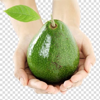 Avocado salad Vitellaria Fruit, Cut the shea butter transparent background PNG clipart