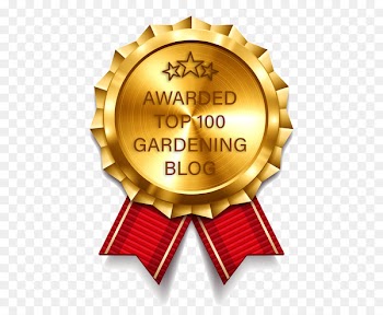 Award Gold medal Ribbon - award 