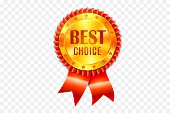 Award Royalty-free Stock photography Illustration - Little Red Flower Medal 