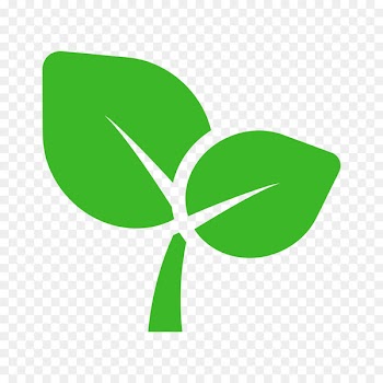 Awareness Like button Facebook Logo Leaf - Bean sprout 