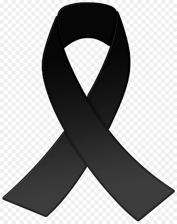 Awareness ribbon Image Clip art - ribbon 