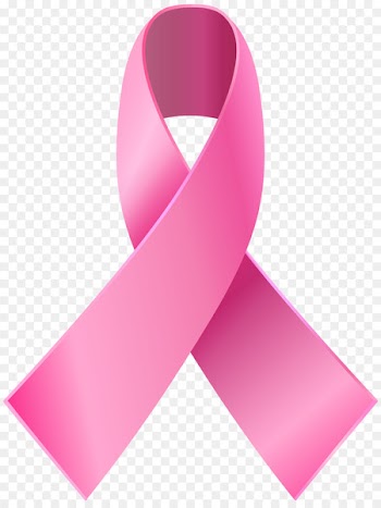 Awareness ribbon Pink ribbon Clip art - pink ribbon 