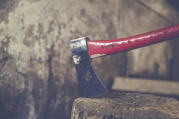 Axe on Tree Trunk