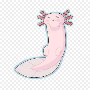 Axolotl Pink png download - 1024*1024 - Free Transparent Axolotl ...
