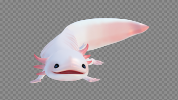 Axolotl png 6 » PNG Image