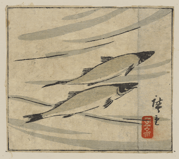 Ayu zu. Original from the Library | Free Photo - rawpixel