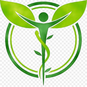 Ayurvedic Home Remedies Ayurveda Therapy Naturopathy Health -  