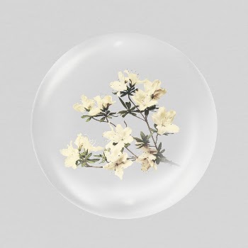 Azalea flowers sticker, Spring bubble | Free PSD - rawpixel