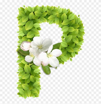B *✿* - Abc Alfabetos Con Alfabetos Florales Alphabet Letters