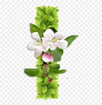B *✿* - Abc Alfabetos Con Alfabetos Florales Alphabet Letters