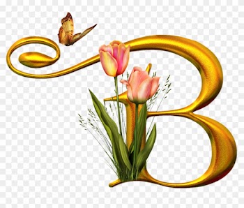 Яндекс - Фотки - B Alphabet In Style