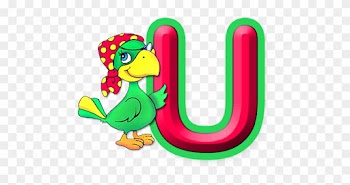 B *✿* Alphabet Loro Pirata - Pirate Bird