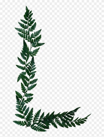 B *✿* Naturaleza Frame Clipart, Journal Cards, Tintin, - Silver Fern Page Border