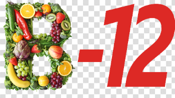 B12 PNG High-Quality Image