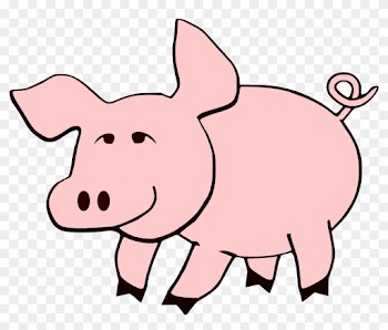 Babi Hitam Putih