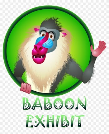Baboon Cartoon In Frame