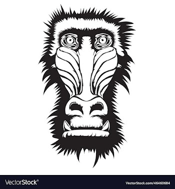 baboon monkey face