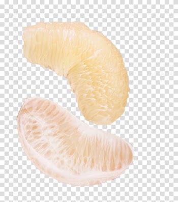 Baboons Charm bracelet Jewellery Plastic, 2017,Two grapefruit transparent background PNG clipart