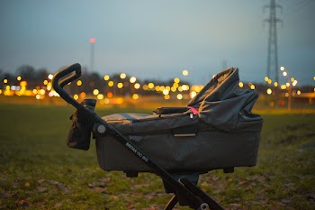 Baby's Bassinet on Green Grass