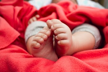 Baby's Feet