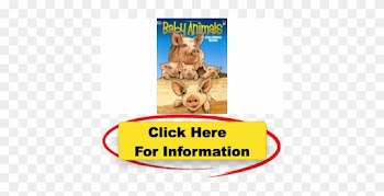 Baby Animals Coloring Book Dover Coloring Books For - Baby Animals Coloring Book (dover Coloring Books)