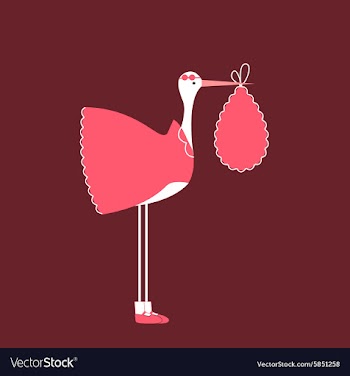Baby announcement card vector image