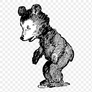 Baby bear png clipart, animal | Free PNG - rawpixel