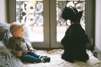 Baby Beside Scottish Terrier