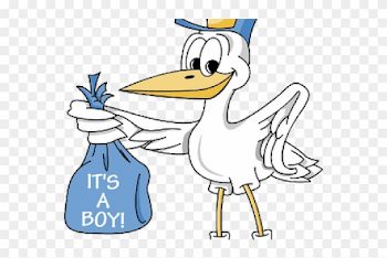 Baby Boy Cartoon Images - Stork Its A Boy, HD Png Download ...