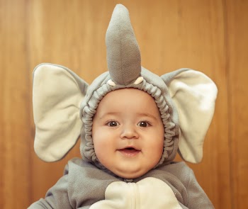 Baby boy dressed in elephant costume