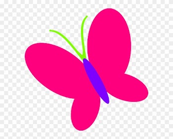Baby Butterfly Vector Png