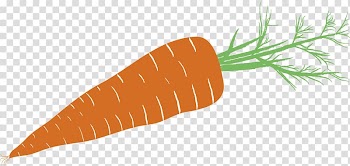 Baby carrot Drawing Pictogram Vegetable, carrot transparent background PNG clipart