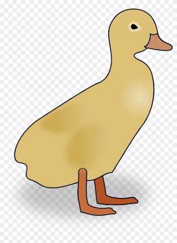 Baby Duckling Pictures - Bird Mama Baby Clipart Png