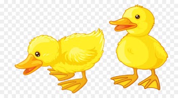 Baby Ducks American Pekin Clip art - duck 